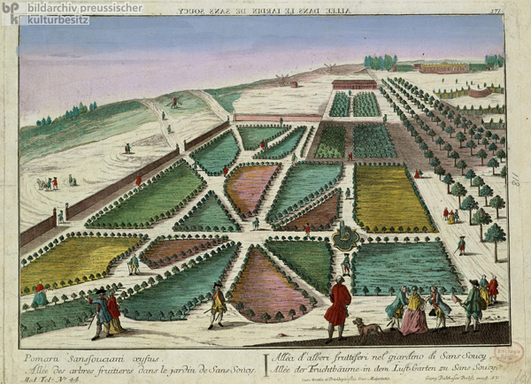 Allee der Fruchtbäume im Lustgarten zu Sanssouci (nach 1745)